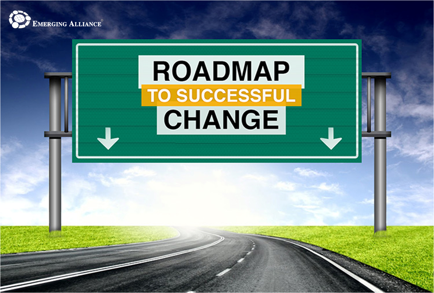 road map to sap erp software