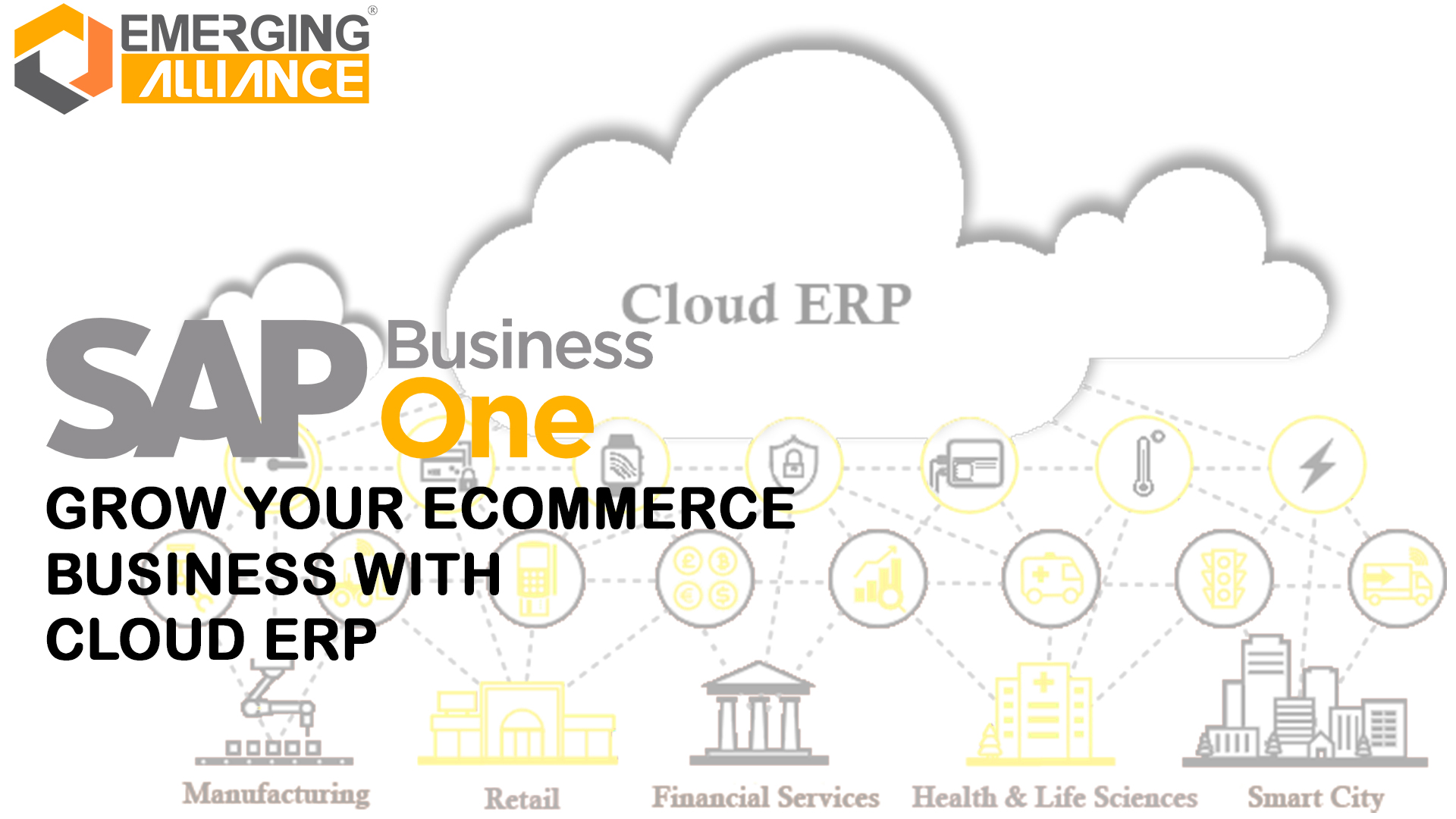 grow your business ecommerce business sap business one erp