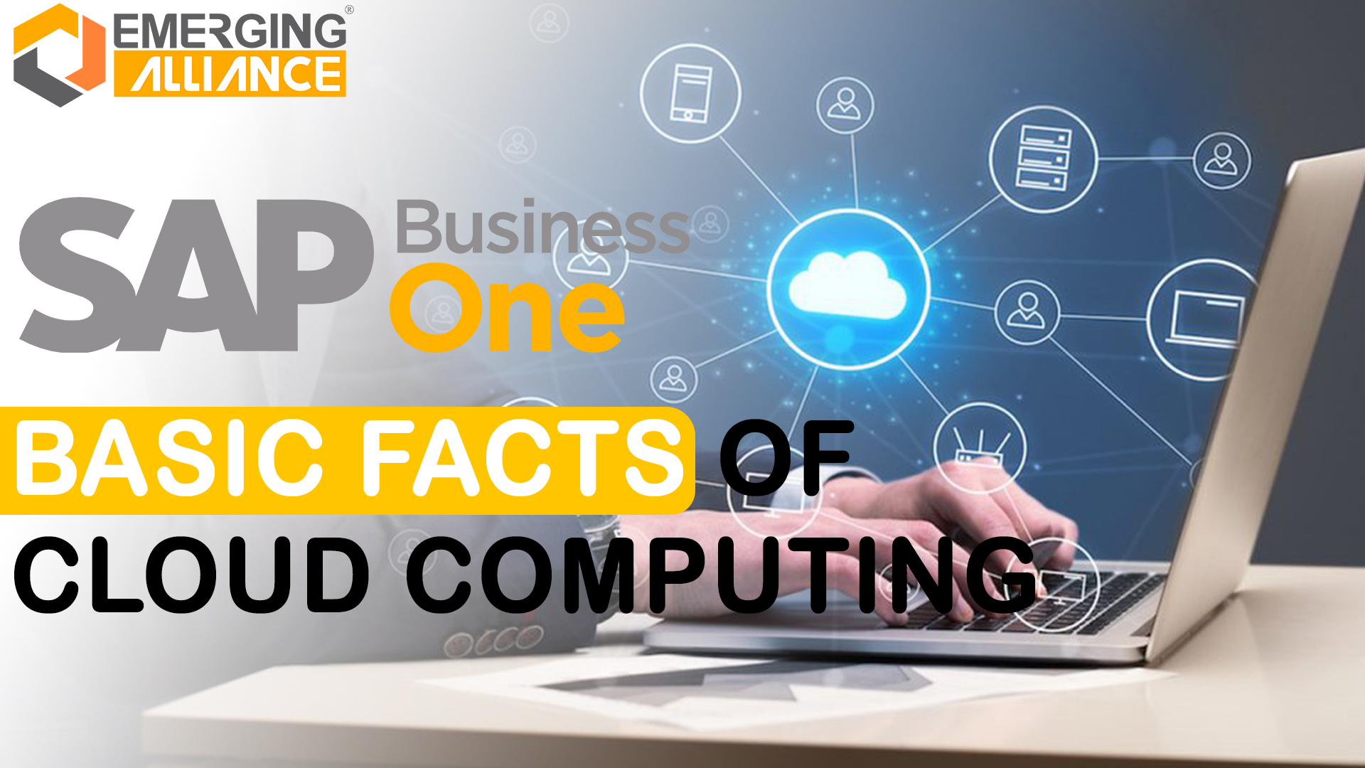 sap business one - Basic facts of cloud computing