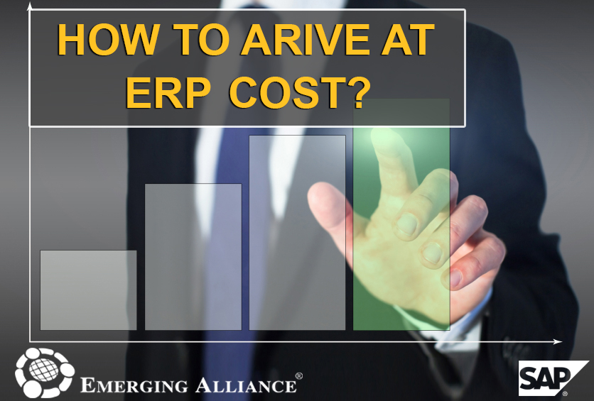 erp cost