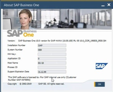 SAP BUSINESS ONE 10.0 ADMINISTRATION OPTIMIZED SYSTEM HANDLING