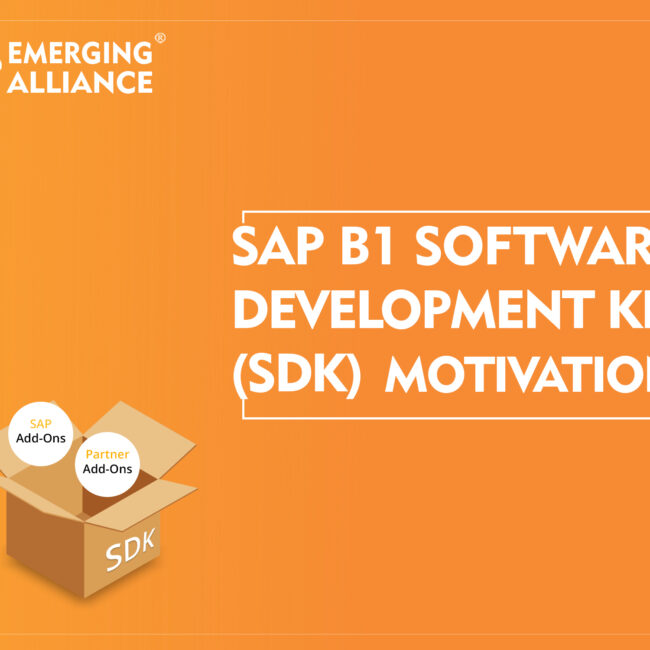 SAP Business One Software Development