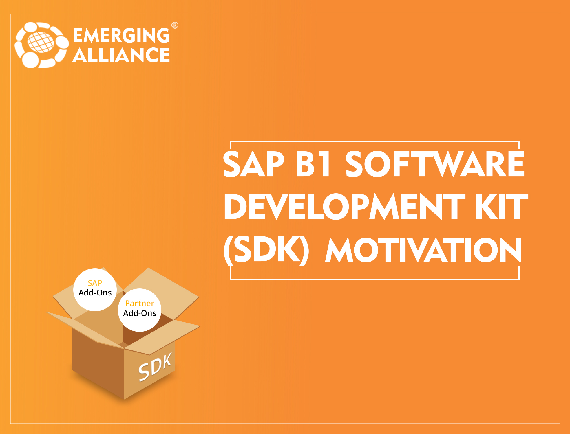 SAP Business One Software Development