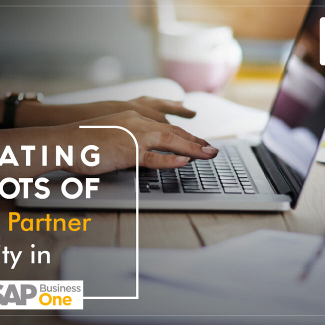 generating snapshots of business partner activity in SAP B1
