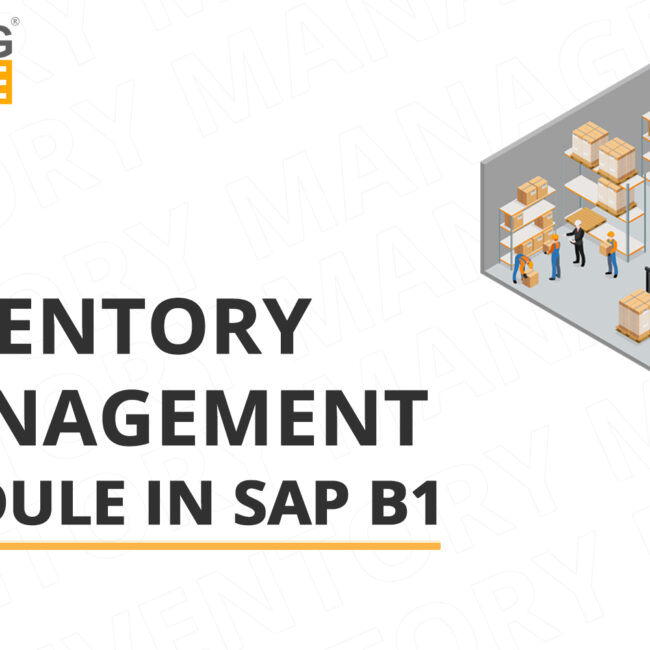 inventory management module in SAP B1