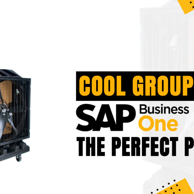 Cool Group Deem SAP Business One