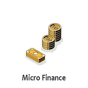 Microfinance