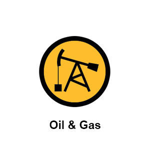 Oil & Gas SAP B1