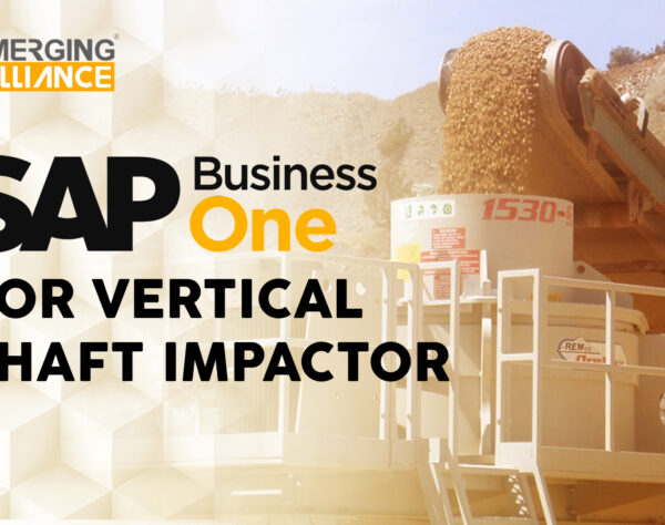 SAP Business One for Vertical Shaft Impactor