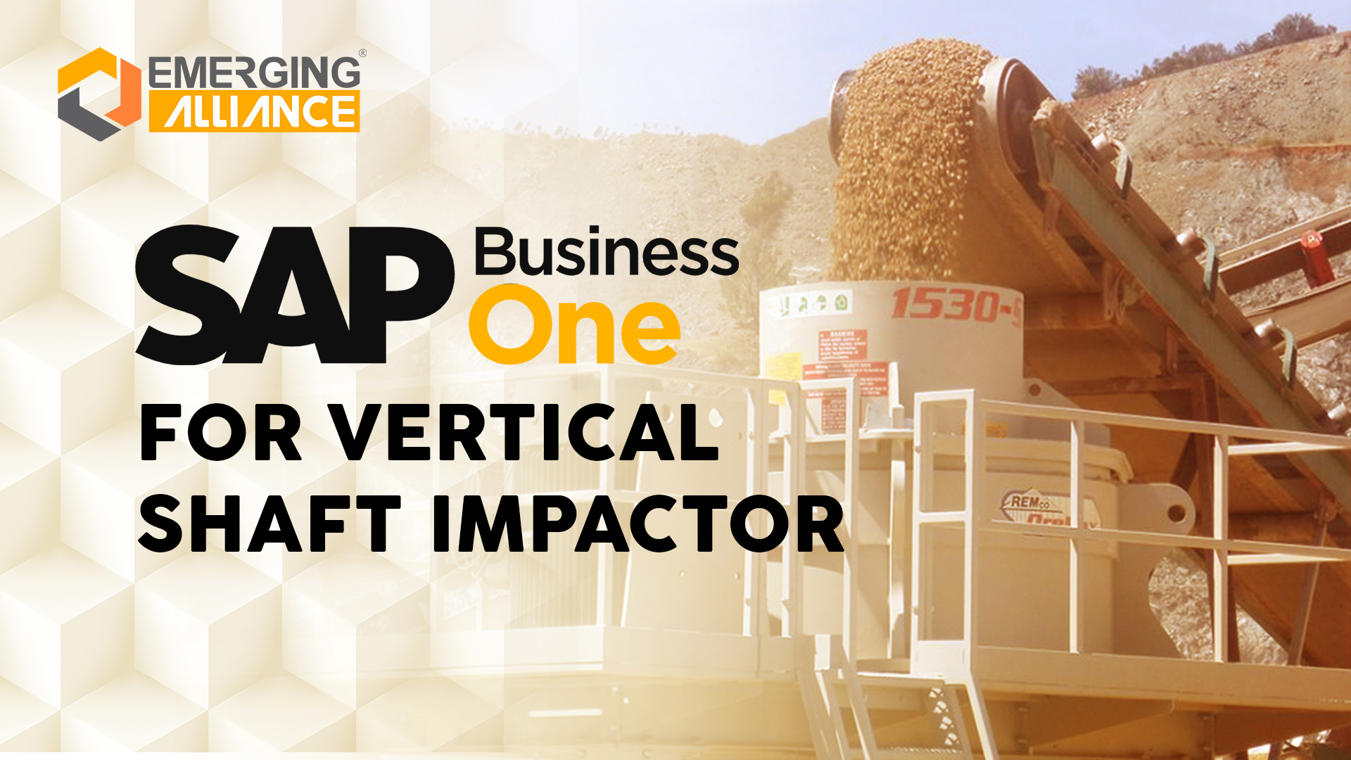 SAP Business One for Vertical Shaft Impactor