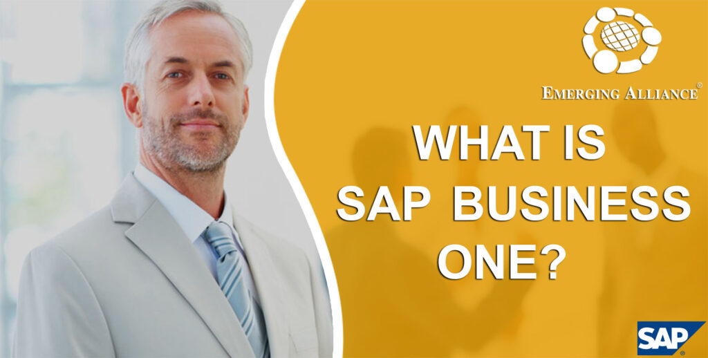 WHAT IS SAP BUSINESS ONE? SAP B1