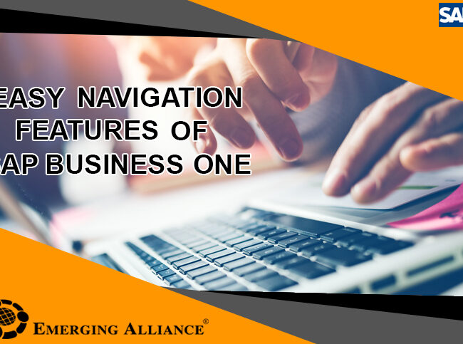 Easy Navigation features of sap b1