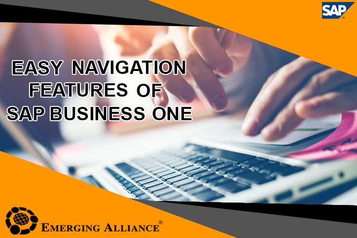 Easy Navigation features of sap b1