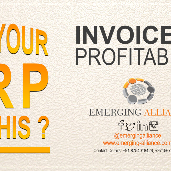 invoice wise profitability with erp