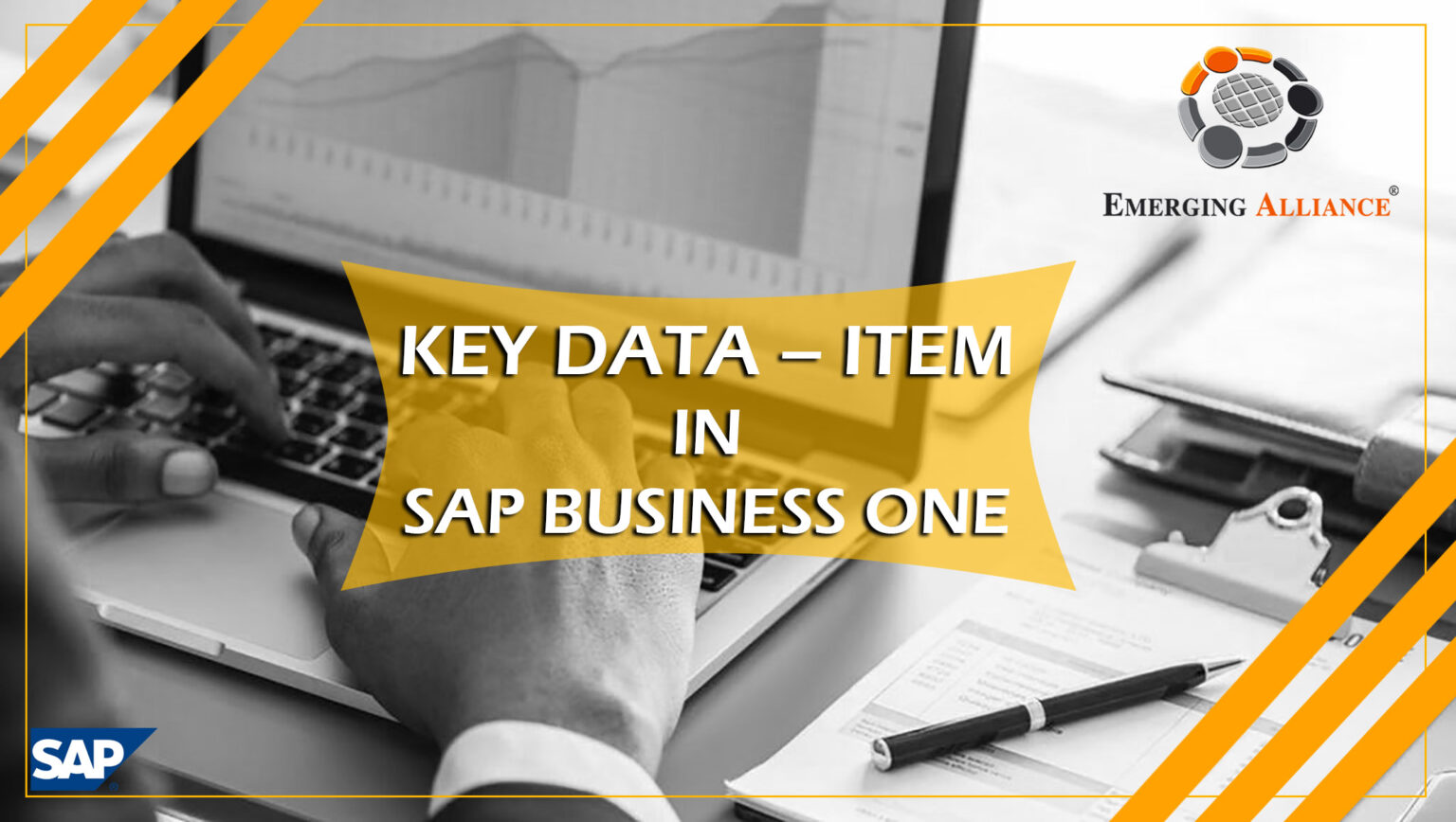 KEY DATA ITEM IN SAP B1 SAP B1