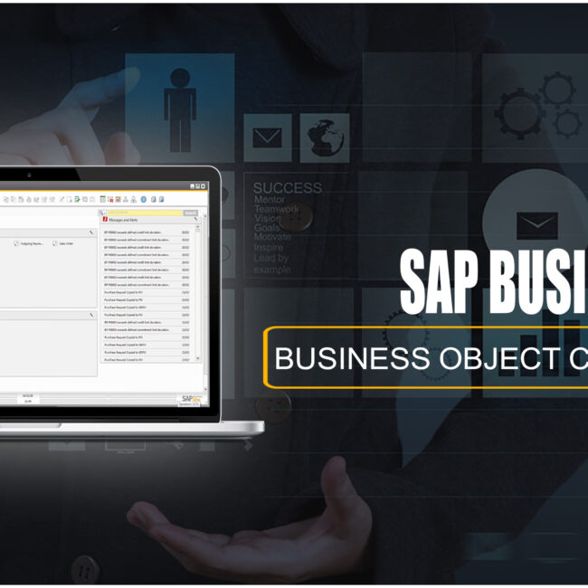 SAP Business One for OBJECT COUNT DEMO