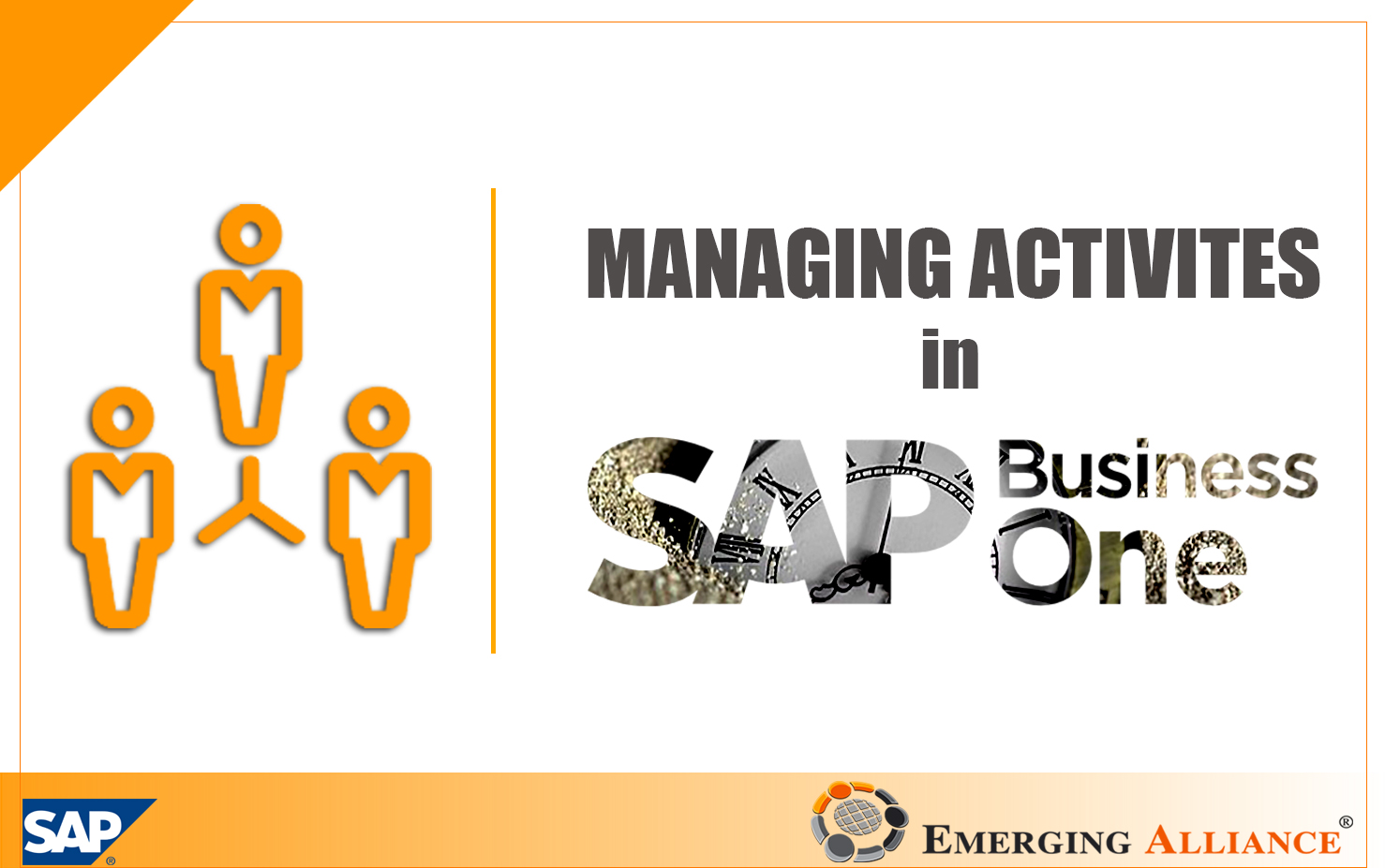 managing activity in sap b1