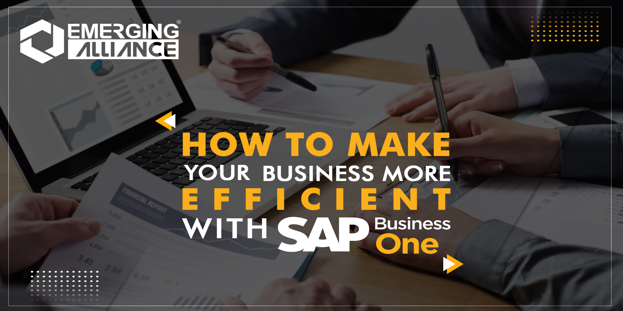 HOW TO MAKE YOUR BUSINESS SAP B1