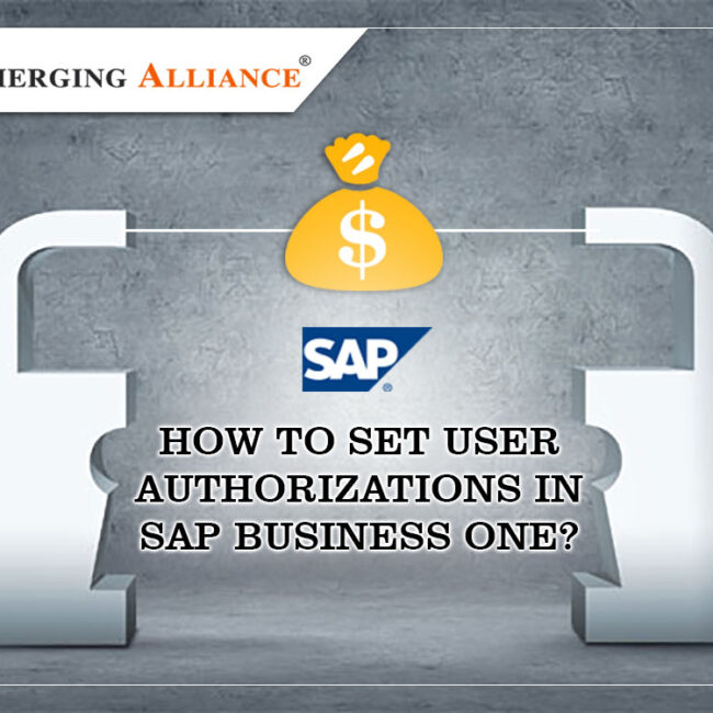 set user authorizations in sap business one