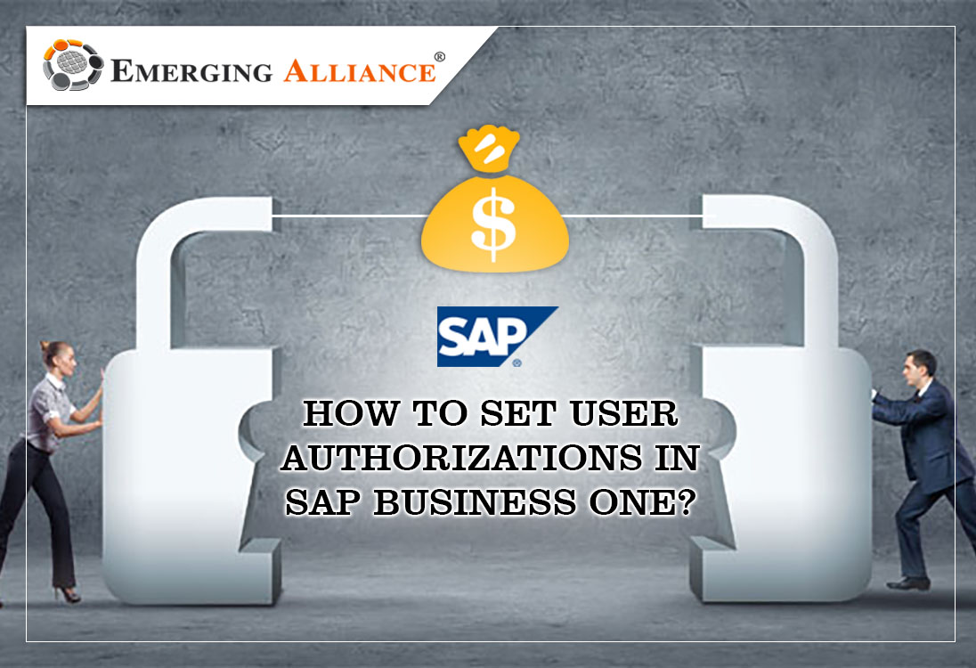 set user authorizations in sap business one