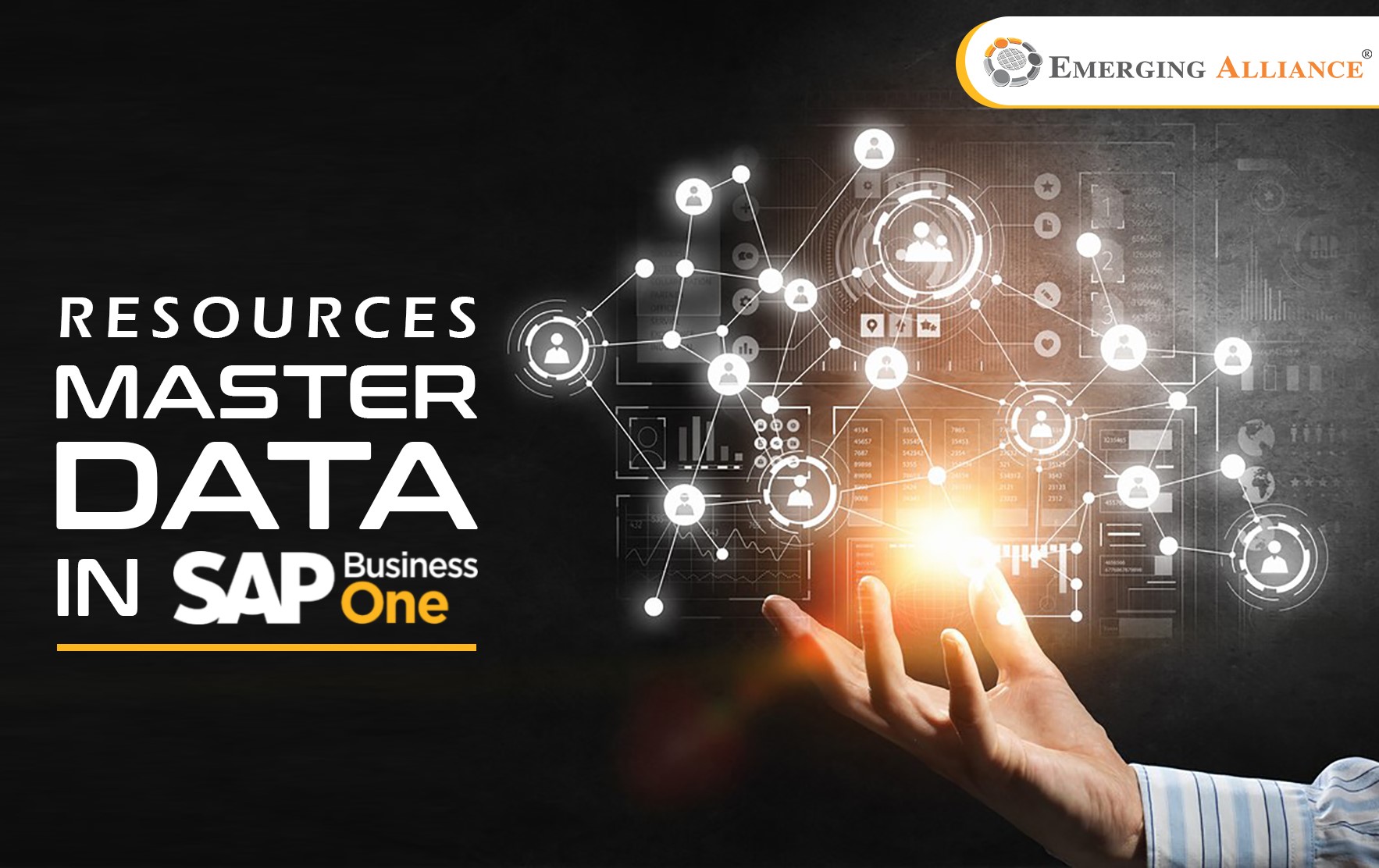 RESOURCES MASTER DATA IN SAP BUSINESS ONE