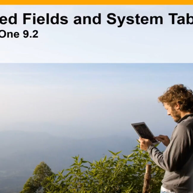 USER DEFINED FIELDS AND SYSTEM TABLES - SAP B1