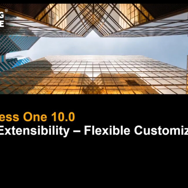 sap business 10.0 platform and extensiblity