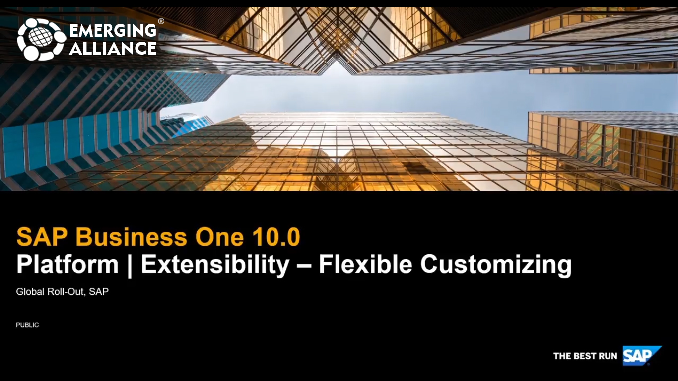 sap business 10.0 platform and extensiblity