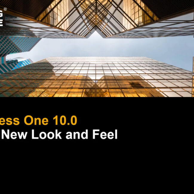 sap business one usability series - new look and feel