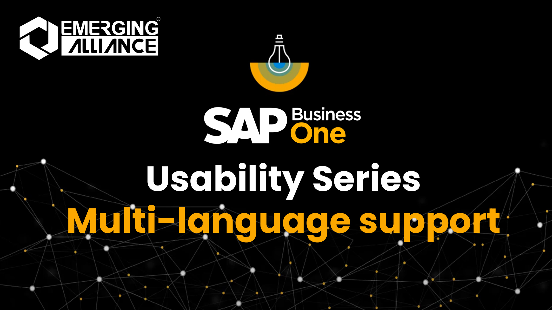 SAP Business One - Usability series multi-language