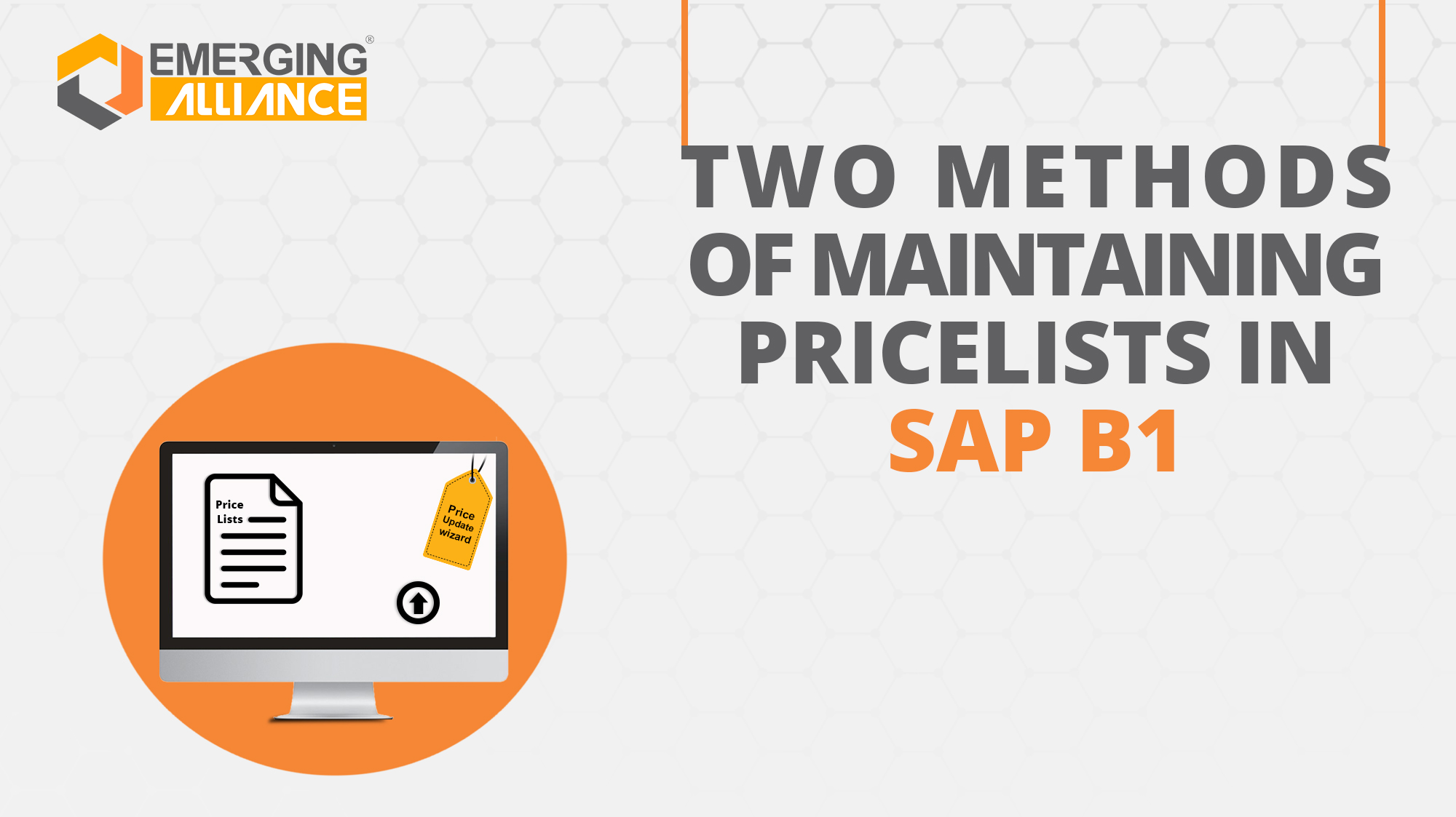 two method of maintaining price list in sap b1