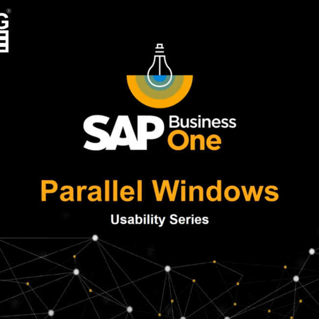 Parallel windows in sap b1