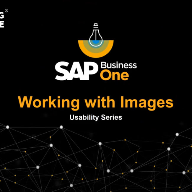 WORKING WITH IMAGES IN SAPB B1