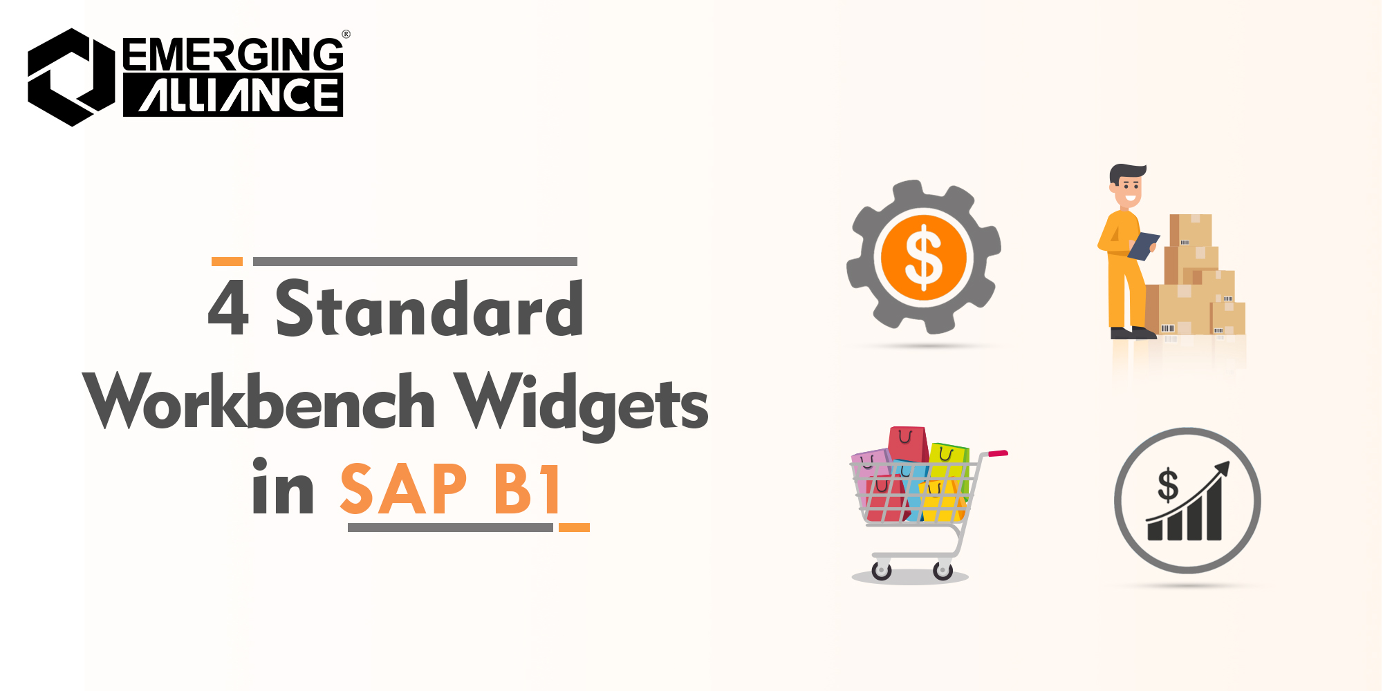 WORKBENCH WIDGETS in SAP B1