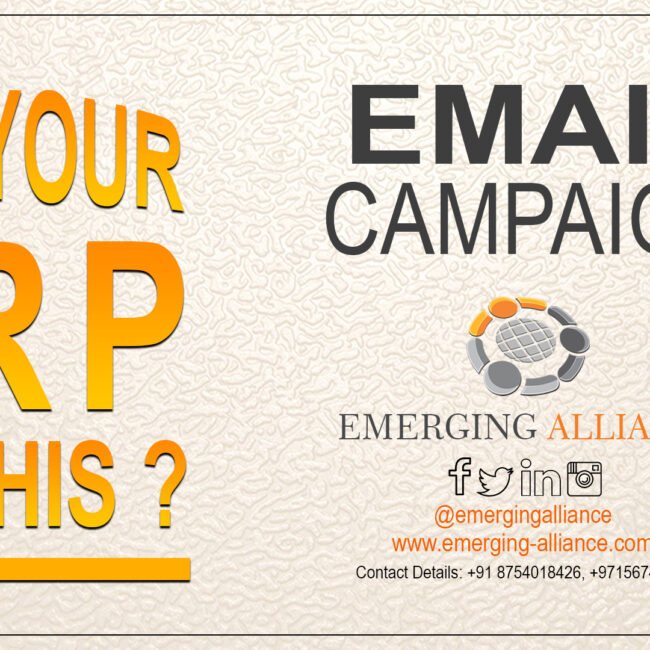 CAN YOUR ERP DO EMAIL COMPAIGN