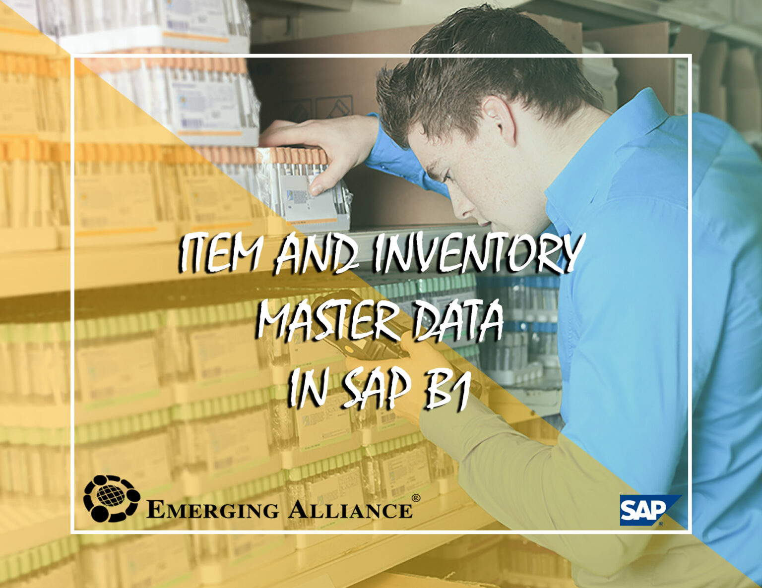 ITEM AND INVENTORY MASTER DATA IN SAP B1 SAP B1