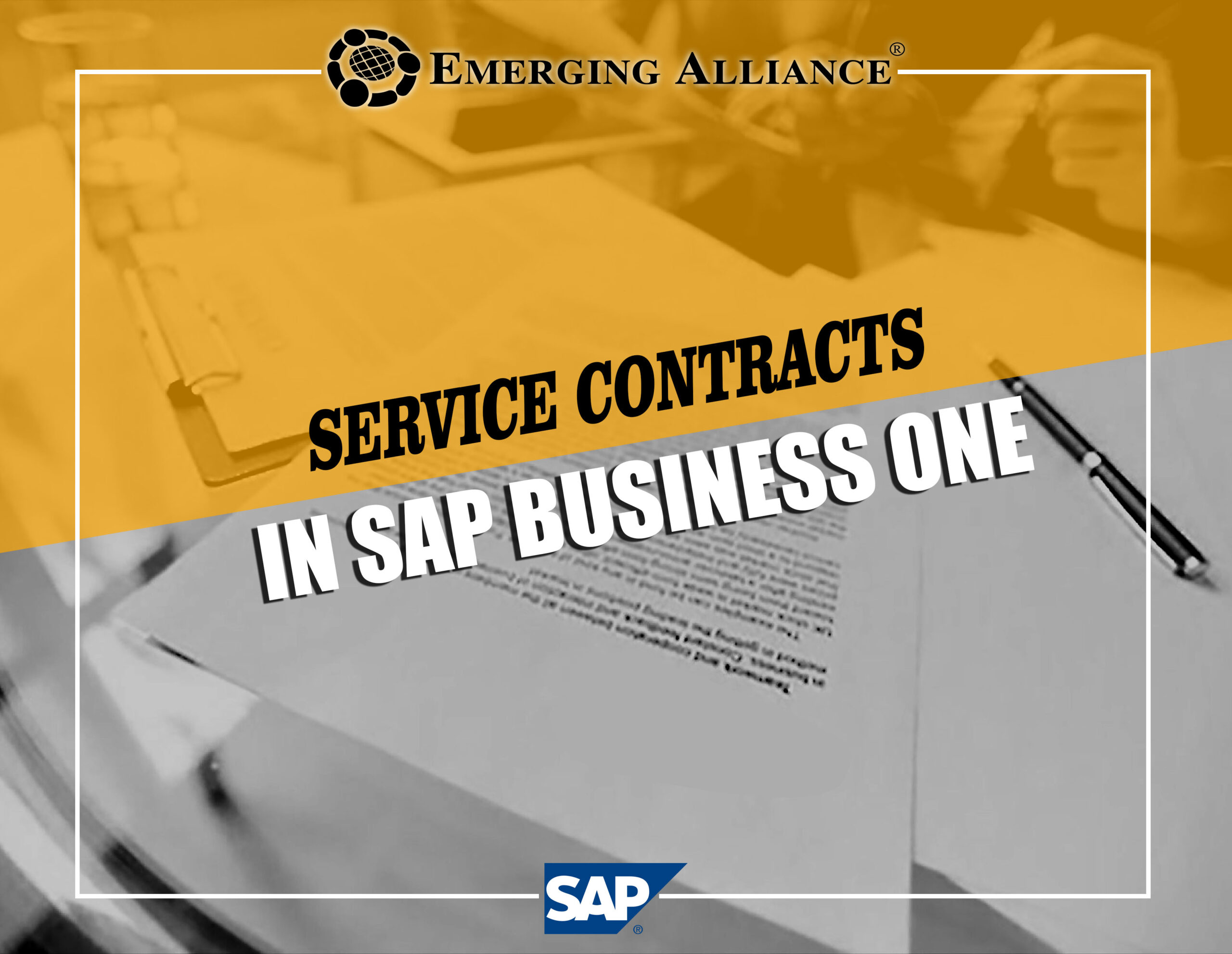 service contract in SAP B1 ERP