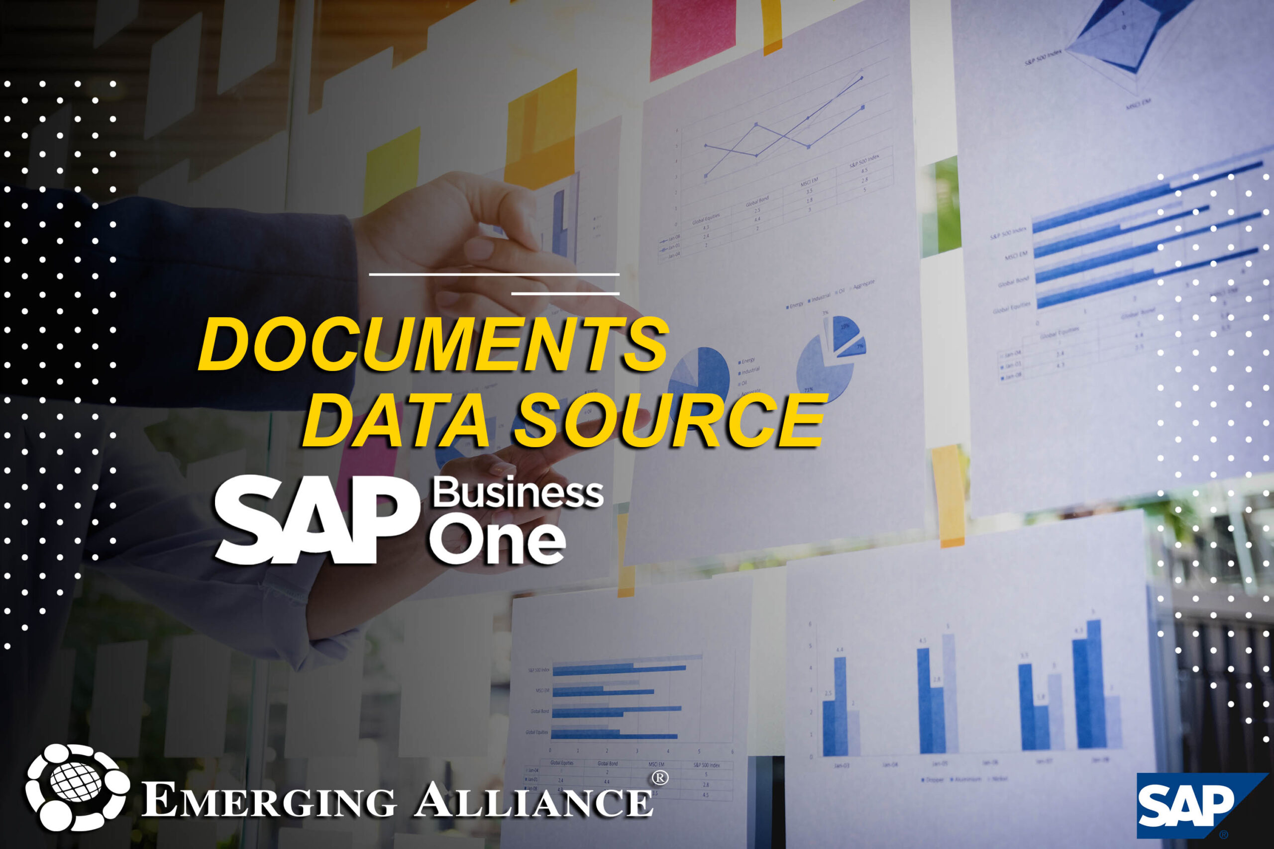 DOCUMENT DATA SOURCE in SAP B1