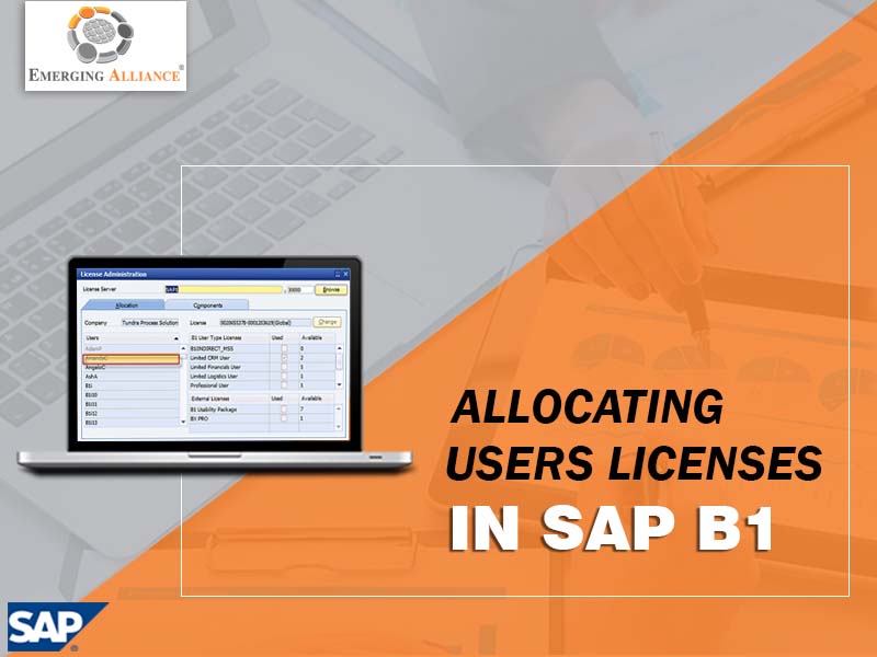 allocating users licenses in sap b1