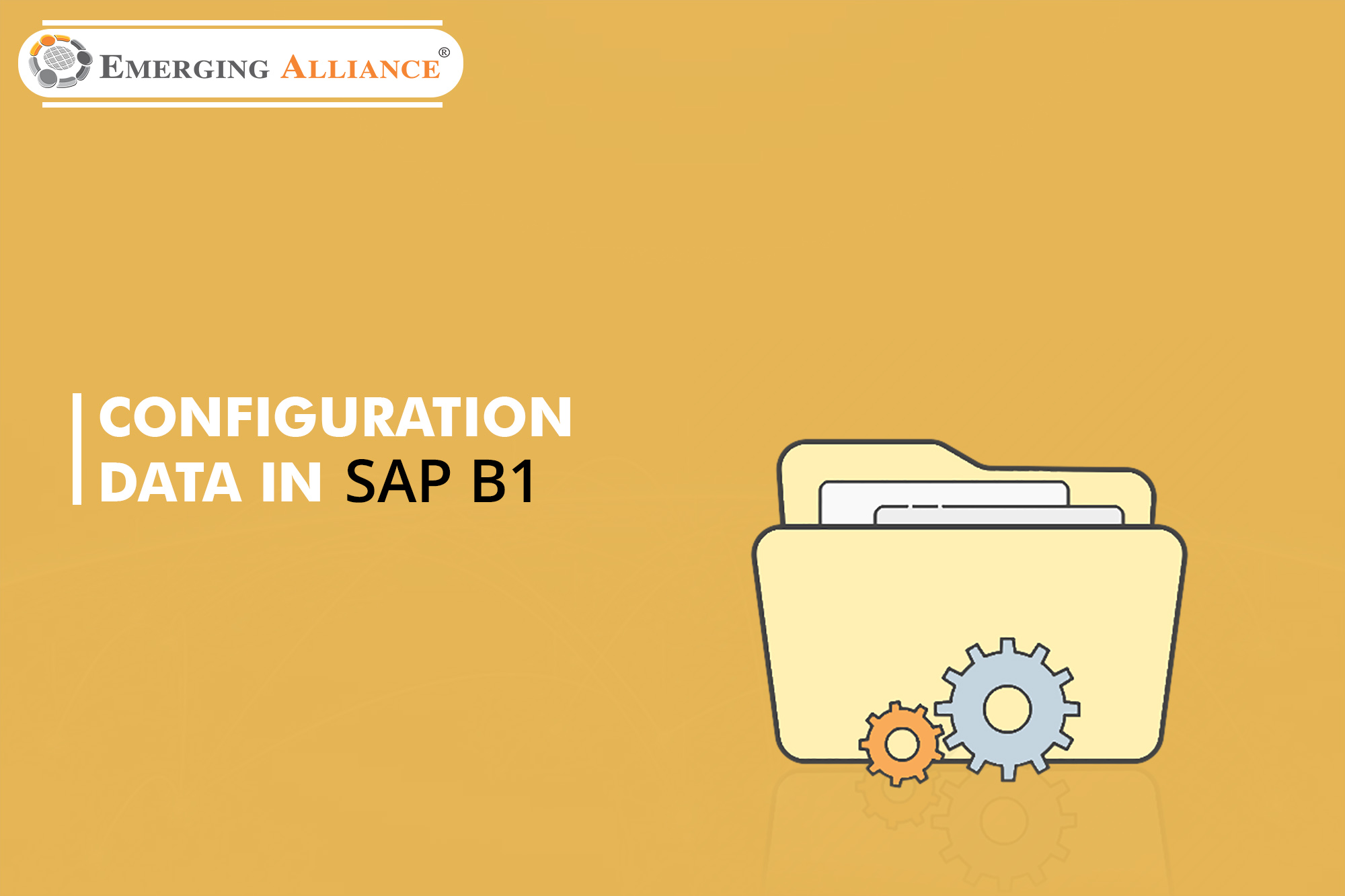 configuration data in sap b1