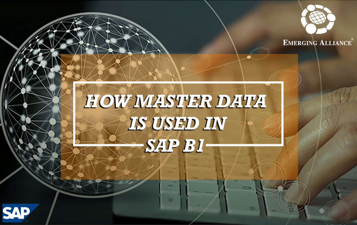 how master data is used in sap b1