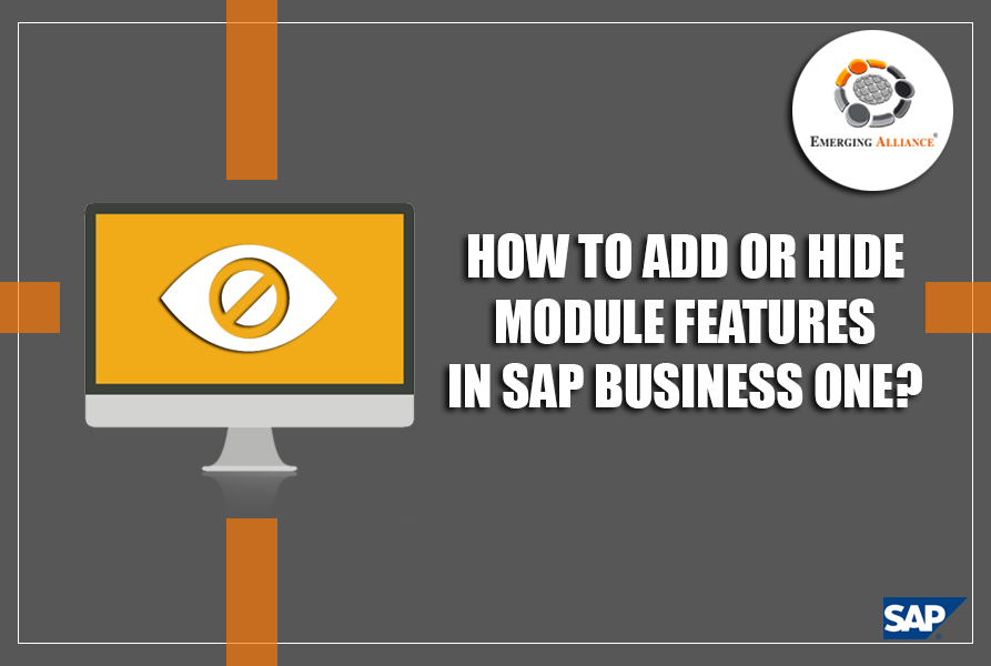 how to add or hide module features in sap b1