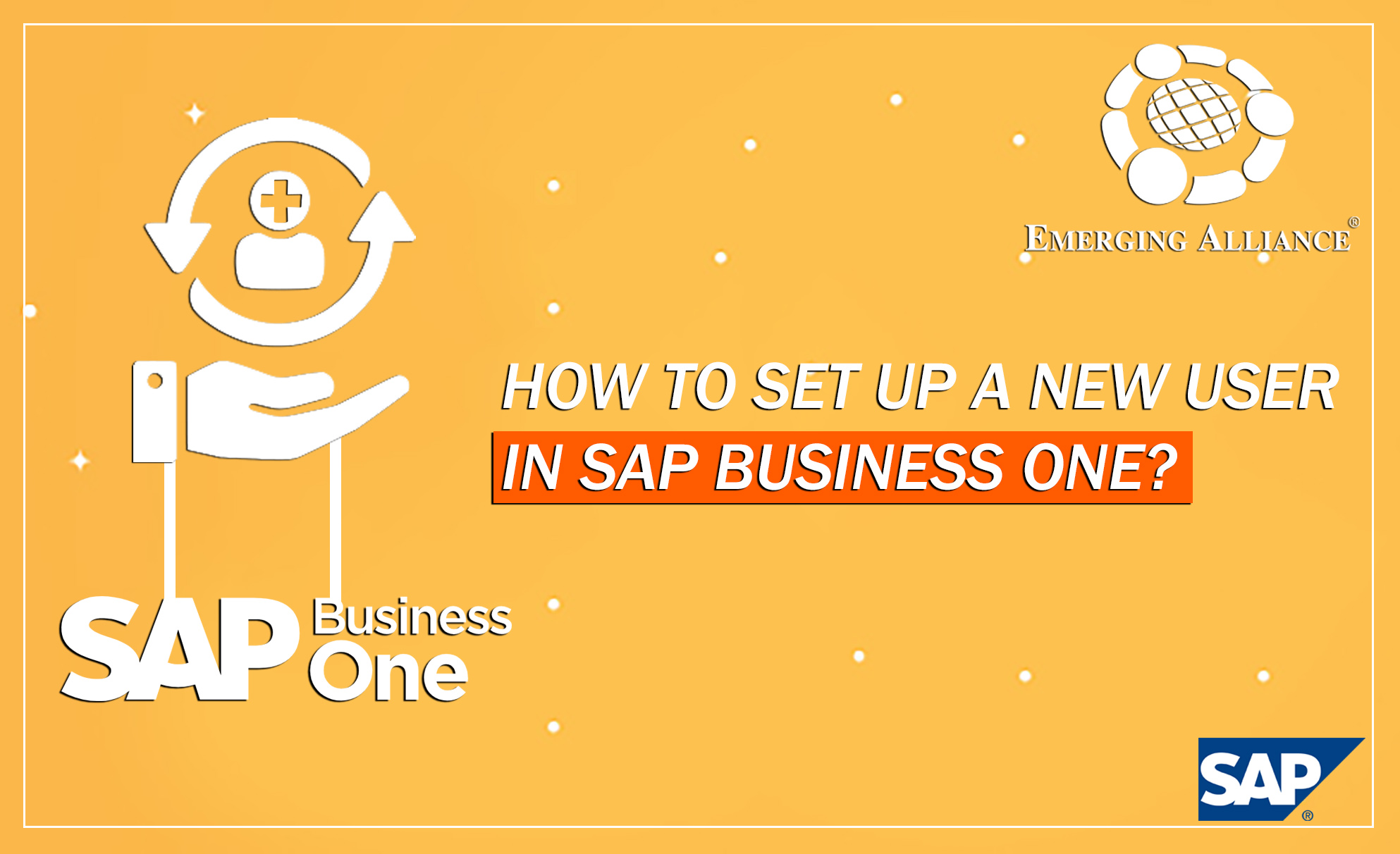 how to setup new user in SAP Business One