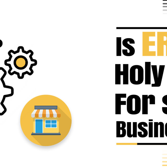 Is ERP THE HOLY GRAIL FOR SMALL