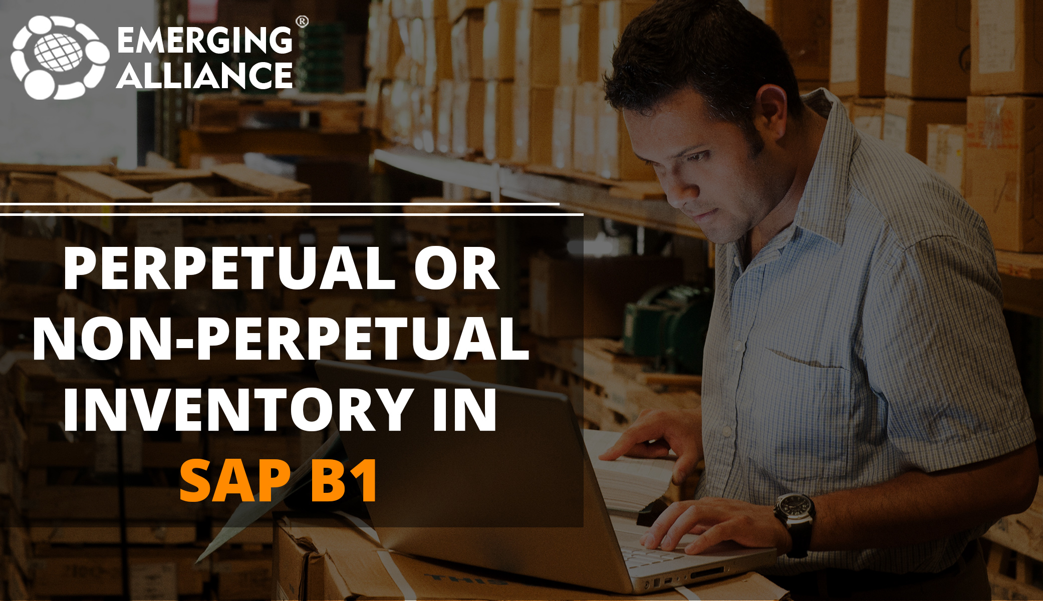 perpetual or non perpetual inventory - SAP B1