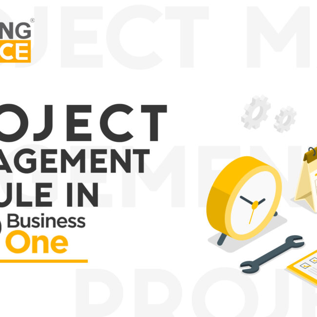 PROJECT MANAGEMENT MODULE in SAP B1