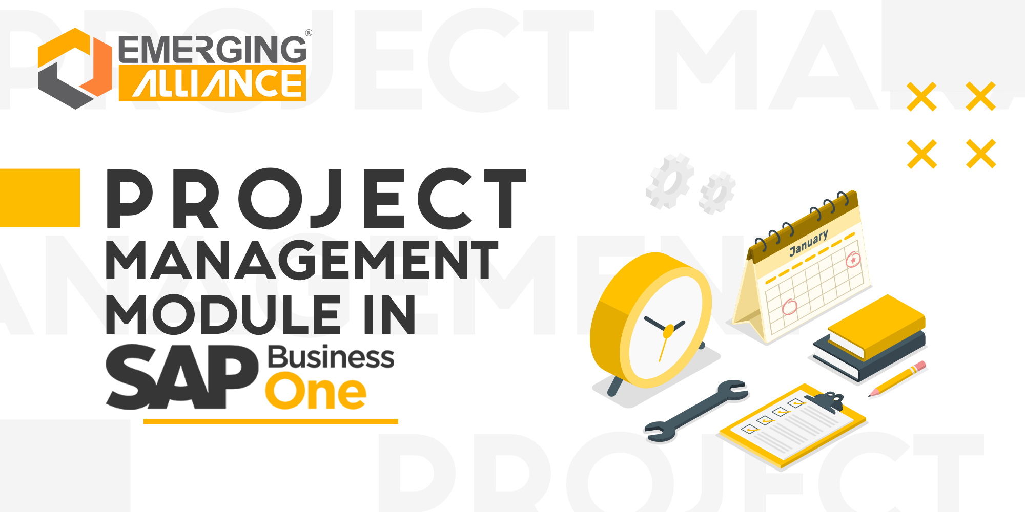 PROJECT MANAGEMENT MODULE in SAP B1