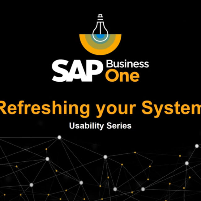 sap b1 usability series refreshing your system