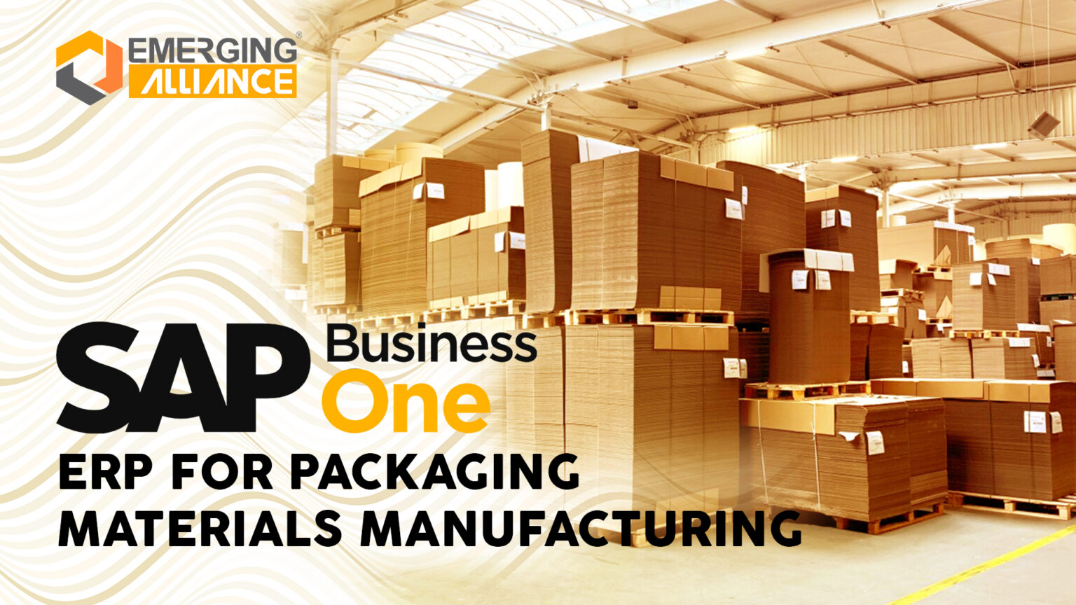 SAP Business One ERP FOR PACKAGING MATERIALS MANUFACTURING SAP B1