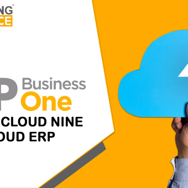sap business one | stay on cloud nine with cloud